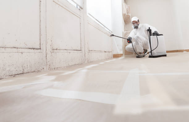 24/7 Emergency Commercial Mold Remediation experts in Vauxhall, NJ
