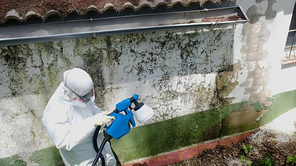 Top rated local Commercial Mold Remediation specialists in Vauxhall, NJ